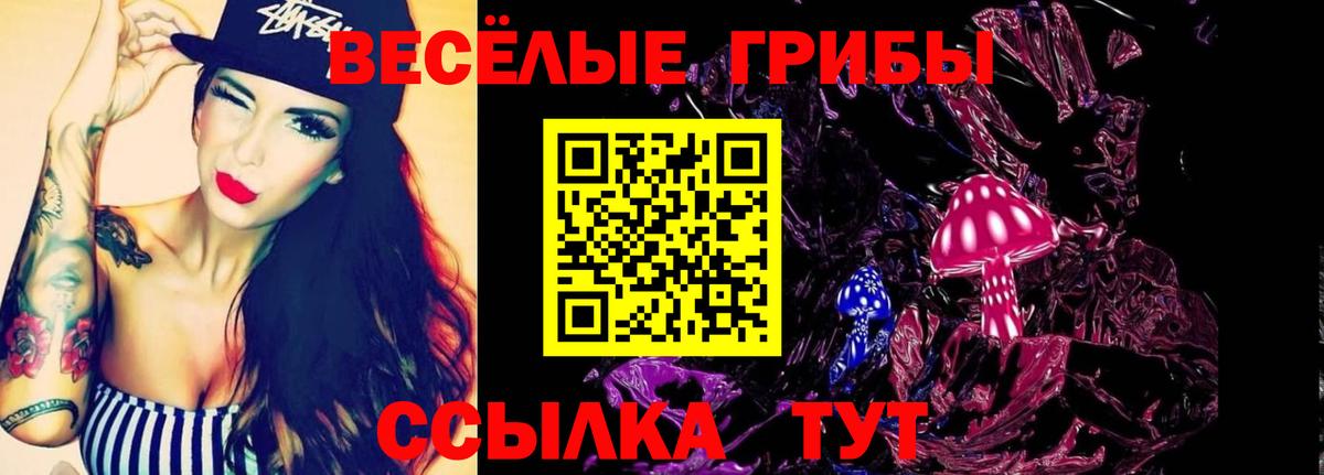 Галлюциногенные грибы прущие грибы Димитровград