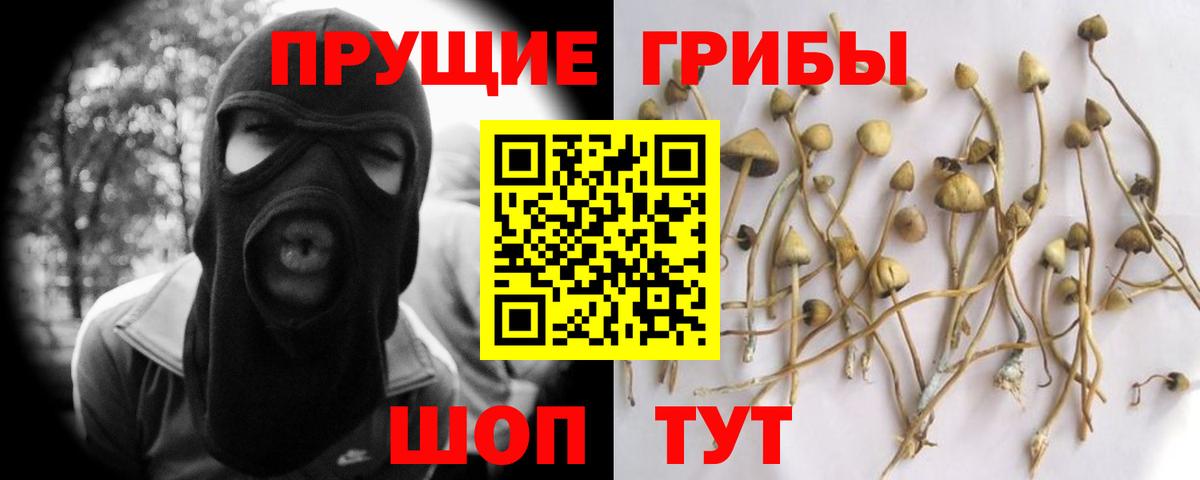 Псилоцибиновые грибы ЛСД  Вход с VPN  Димитровград 